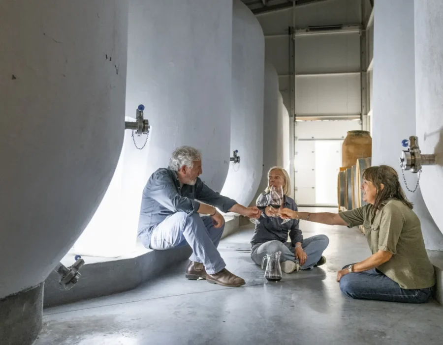 Bodegas Más Que Vinos